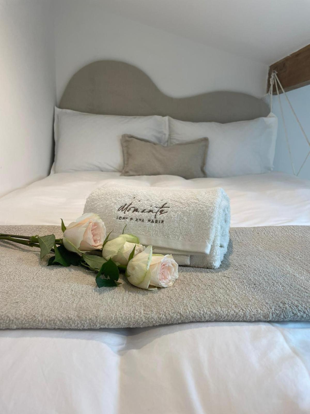 Moments Loft & Spa Paris Montesson Exterior photo